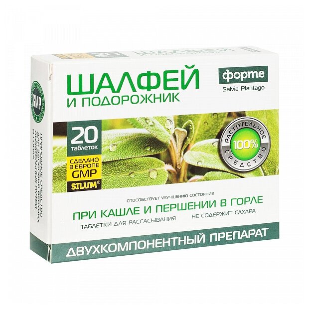 ������ ����� � ���������� ���/������������  �20