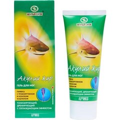 ������ ���, ������ ���� �/��� 75��