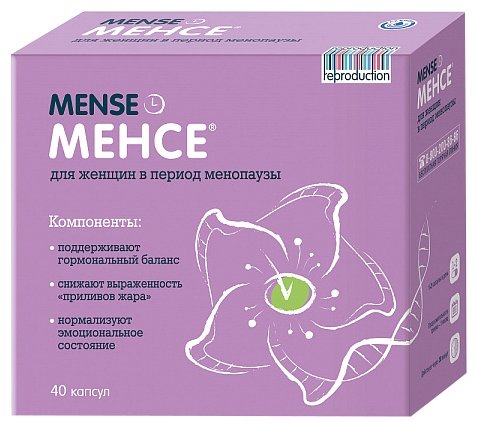 �����, ���� 500�� �40