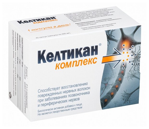 ��������  ��������,  ��� �40