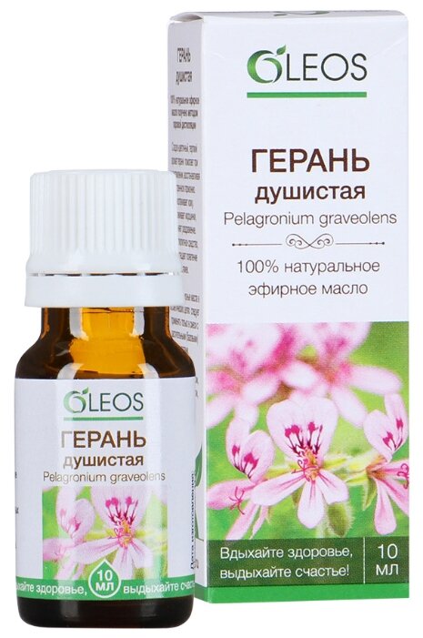 ����� ����� ������� ������ 10��