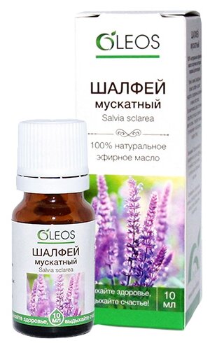 ����� ����� ������� ������ 10��