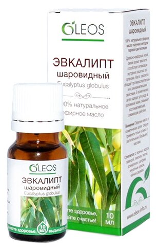 ����� ����� ������� �������� ���������� 10��