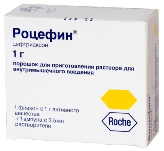 ������� �/�, ��� �/��� 1� �1 + ������������ 3.5��