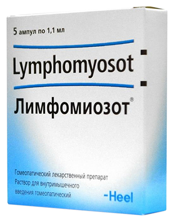 �����������, �-� �/��� ��� 1.1��  �5